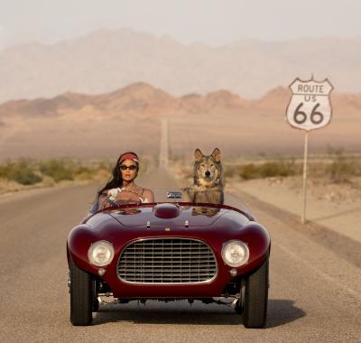 David Yarrow Ferrari Colour 