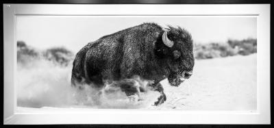David Yarrow Frozen Mountain