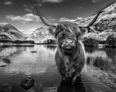 David Yarrow Glen Etive 12 