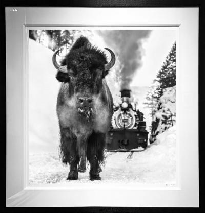 David Yarrow I Walk the Line