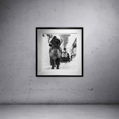 David Yarrow I Walk the Line