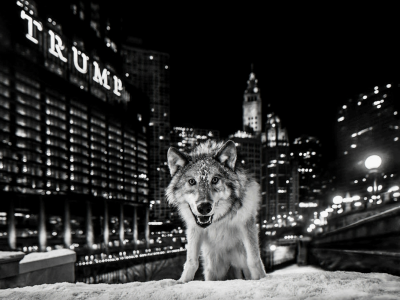 David Yarrow Its Only A Matter Of Time