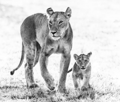David Yarrow Mothers Day 2017