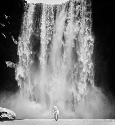 David Yarrow Norse 12 