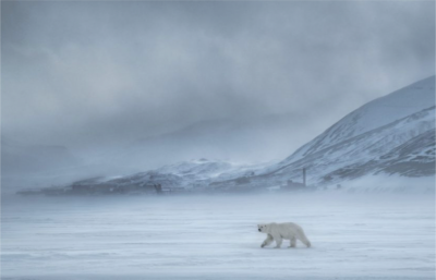 David Yarrow North Of The Wall 2019
