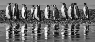 David Yarrow Oceans 11