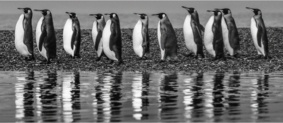 David Yarrow Oceans Eleven 2022