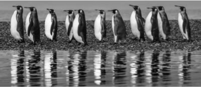 David Yarrow Oceans Eleven 2022