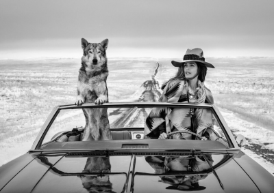 David Yarrow On The Road Again 2020