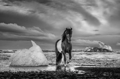 David Yarrow On The Rocks