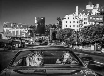 David Yarrow Once Upon A Time 2019