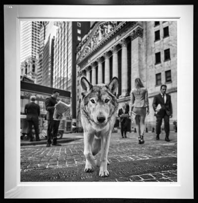 David Yarrow Once Upon a Time on Wall Street