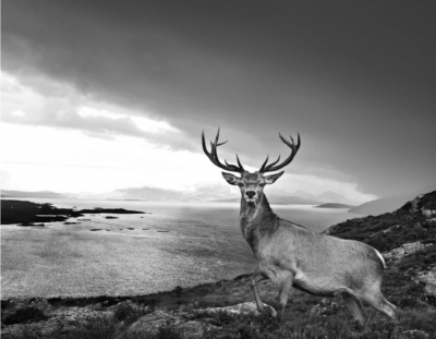 David Yarrow Over the Sea To Skye 2017