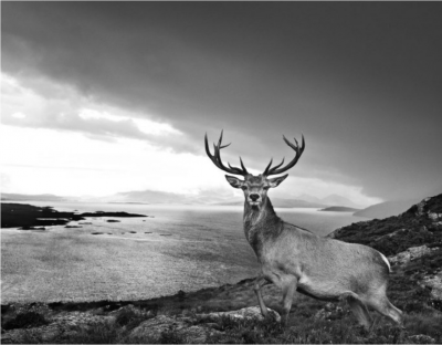 David Yarrow Over the Sea To Skye 2017