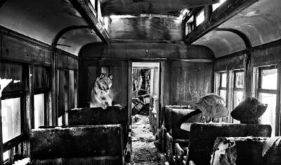 David Yarrow Ride the Ghost Train