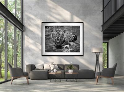 David Yarrow Risky Business