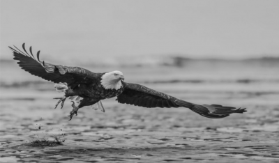 David Yarrow Taking Flight 2019