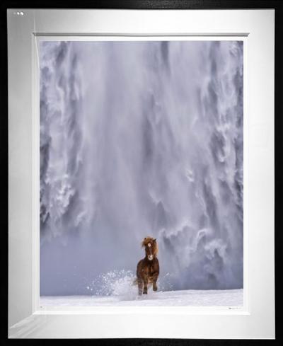 David Yarrow The Big Chill