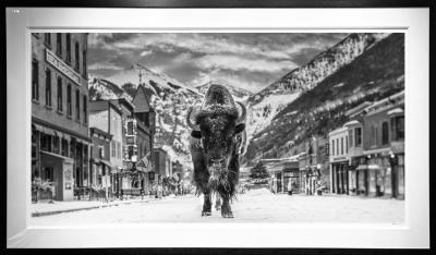 David Yarrow The Bison on Main 