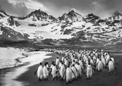 David Yarrow The Breakfast Club 2018