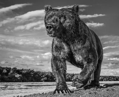 David Yarrow The Fisher King 12 