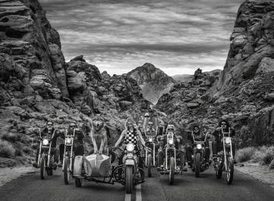 David Yarrow The Leader of the Pack