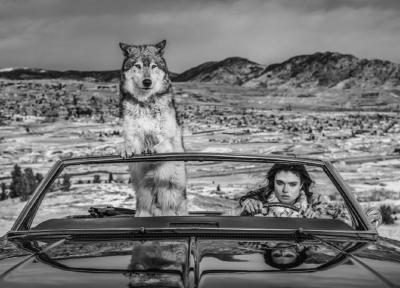 David Yarrow The Richest Hill In The World