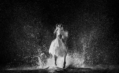 David Yarrow The Shape Of Water 12 