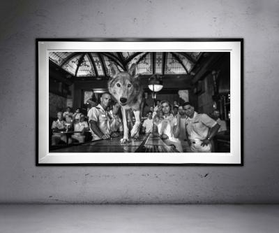 David Yarrow Top Gun