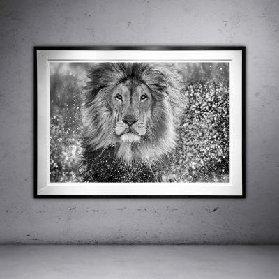 David Yarrow Waterworld