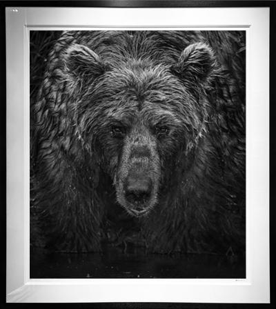 David Yarrow Wet Wet Wet