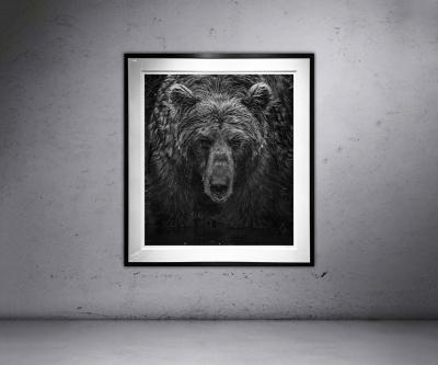 David Yarrow Wet Wet Wet