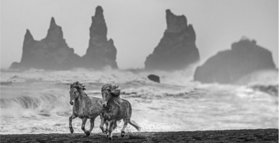 David Yarrow Wild Horses 2018