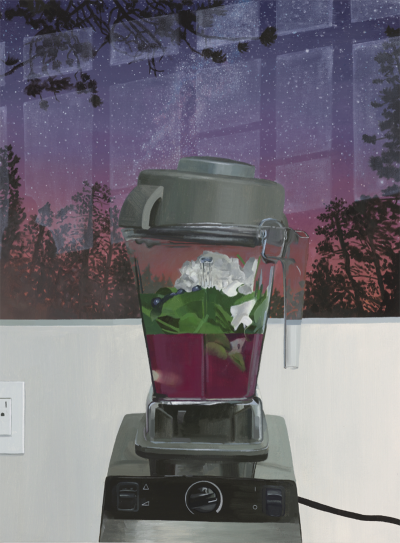 Davis Arney Space Dust Collagen 