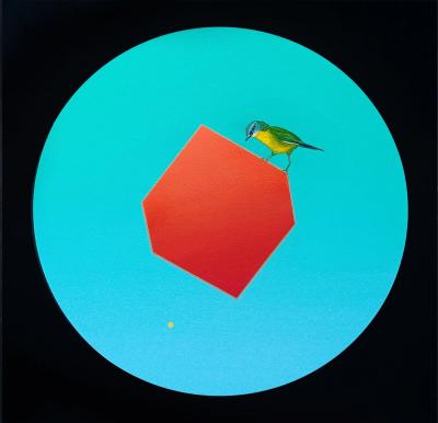 Dean Reilly Illusion of Lightness Eastern Yellow Robin