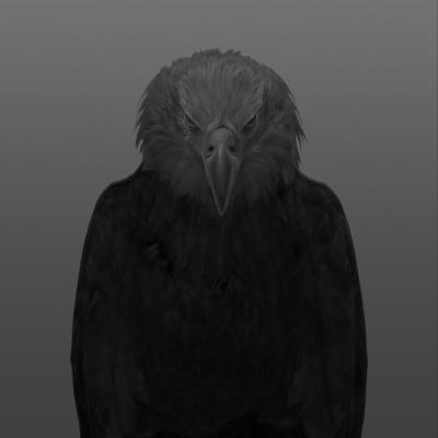 Dean West Bald Eagle 1 9 9 