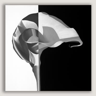 Deborah Bigeleisen Duality 1