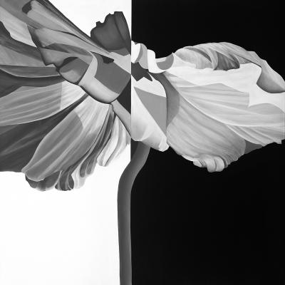 Deborah Bigeleisen Duality 2