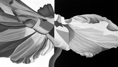 Deborah Bigeleisen Duality 2 Cropped Horizontal 