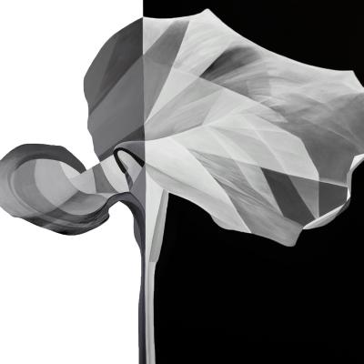 Deborah Bigeleisen Duality 3
