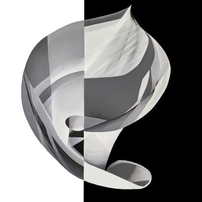 Deborah Bigeleisen Duality 4
