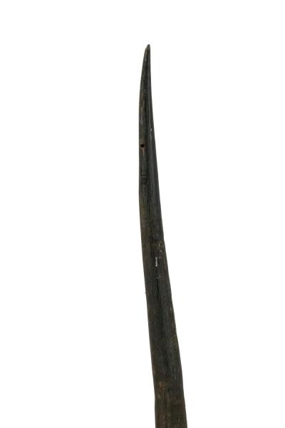 Decorative Antelope Horn Brush