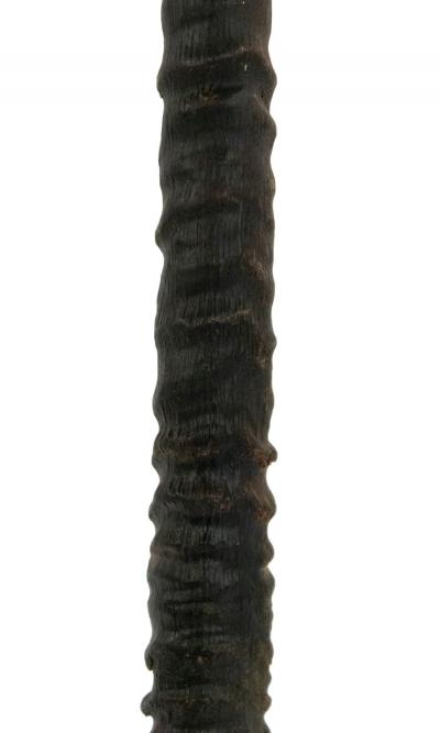 Decorative Antelope Horn Brush