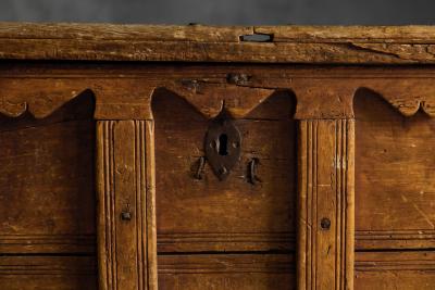 Decorative Folk Art Wooden Chest France 19th Century