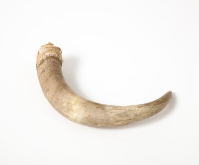 Decorative Goat Horn