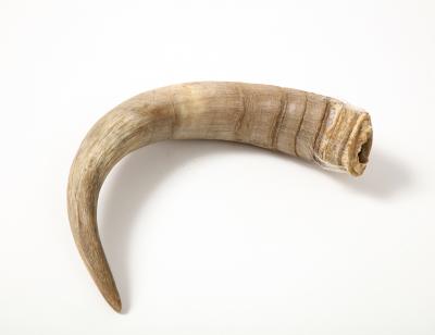 Decorative Goat Horn