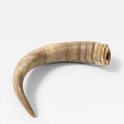 Decorative Goat Horn