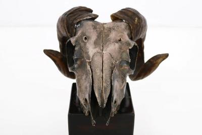 Decorative Ram s Skull Silver Plated