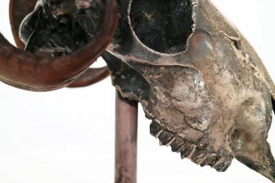 Decorative Ram s Skull Silver Plated