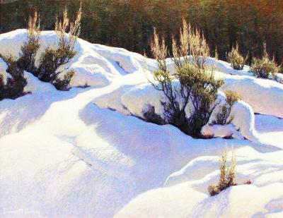 Dennis Doheny Winter Sage